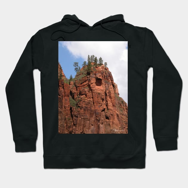 Pines Atop Red Rock Hoodie by MarkArTurner